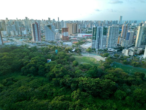 Les Incontournables Nouveautés DVD de ce Mois à Ne Pas Rater